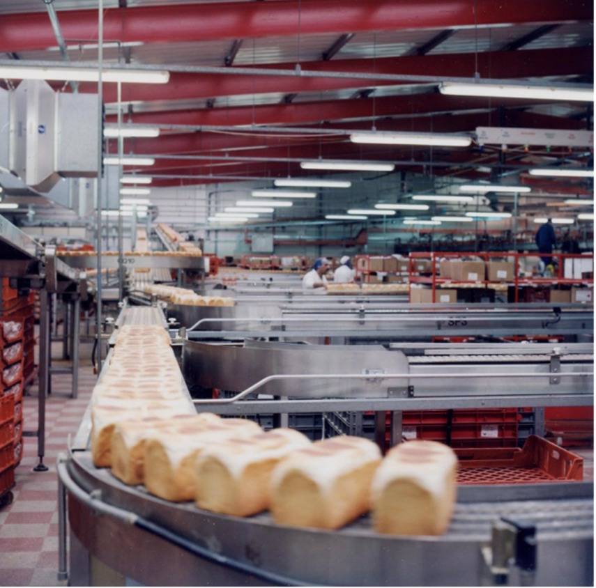 Loaves on a conveyor